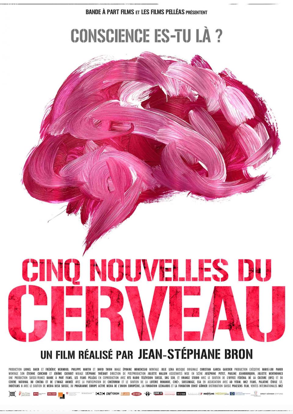 Cinq nouvelles du cerveau