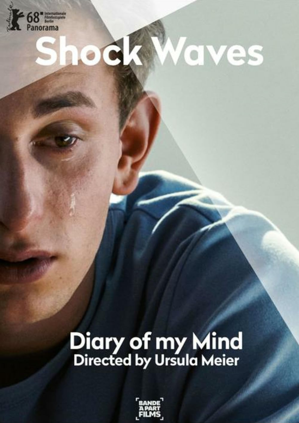 SCHOCK WAVES – Diary of my Mind