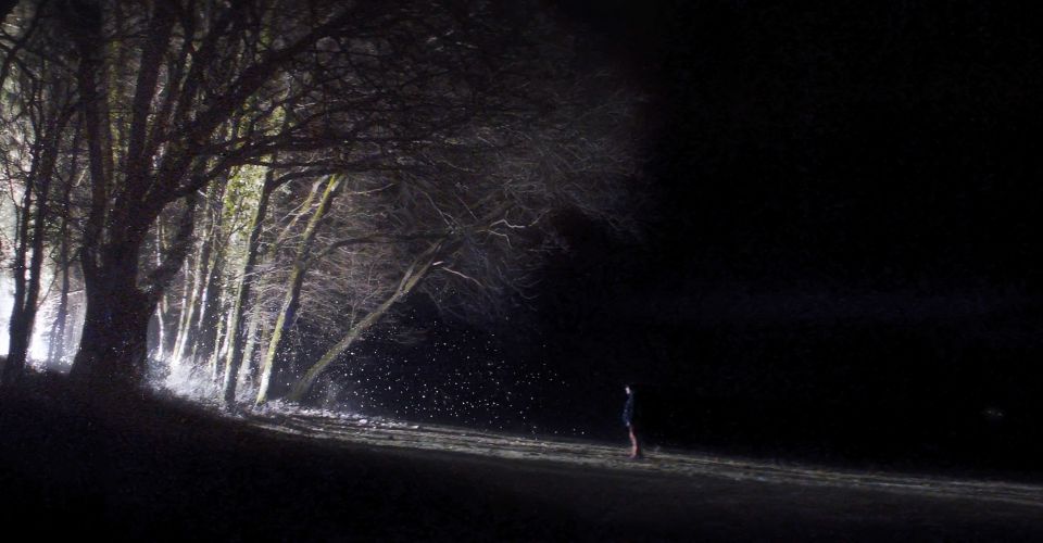 “Particles” Swiss Premiere at the NIFFF